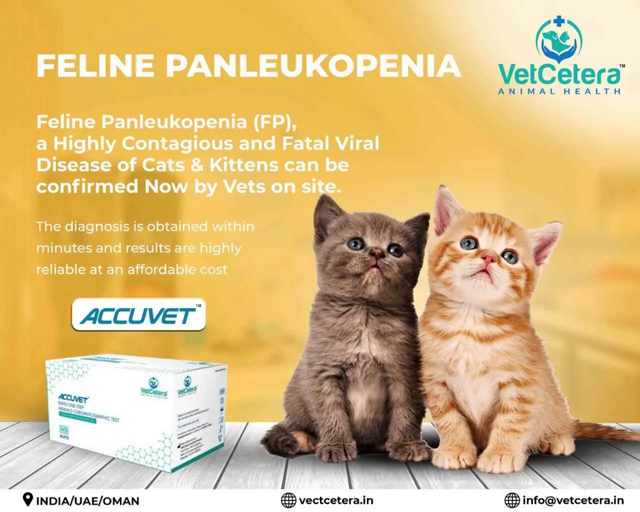 VetCetera veterinary VetCetera veterinary