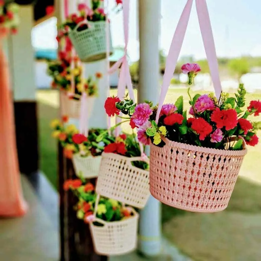 Pastel Feathers Pastel Feathers