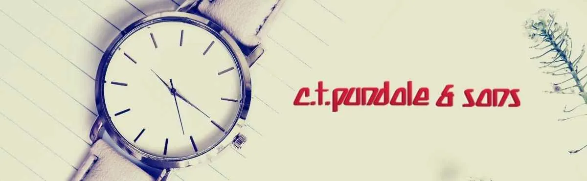 CT Pundole & Sons