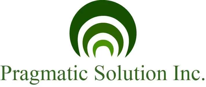 Pragmatic Solution Inc Pragmatic Solution Inc
