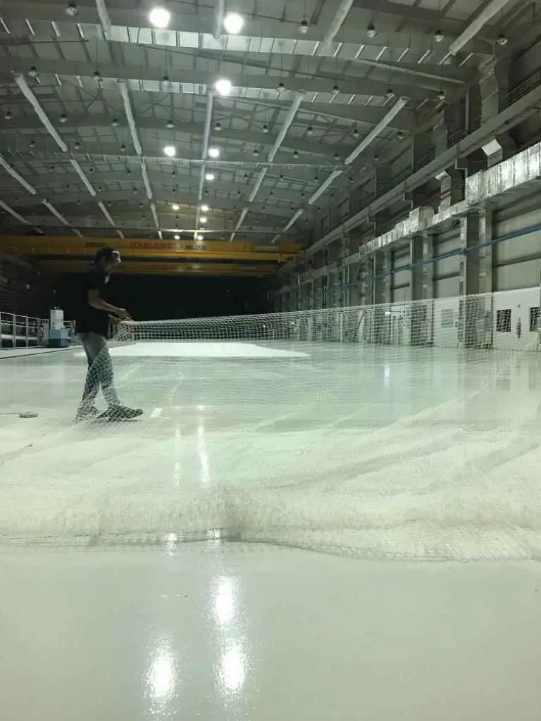 Pigeon Control Services Pigeon Control Services