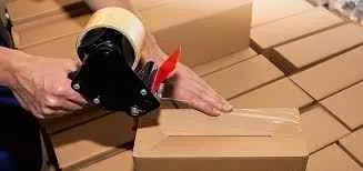 Professional Cargo Packers and Movers