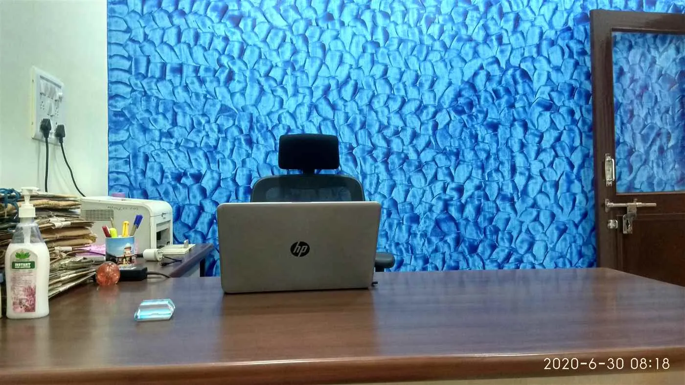 Advocate Romesh Pratap Singh