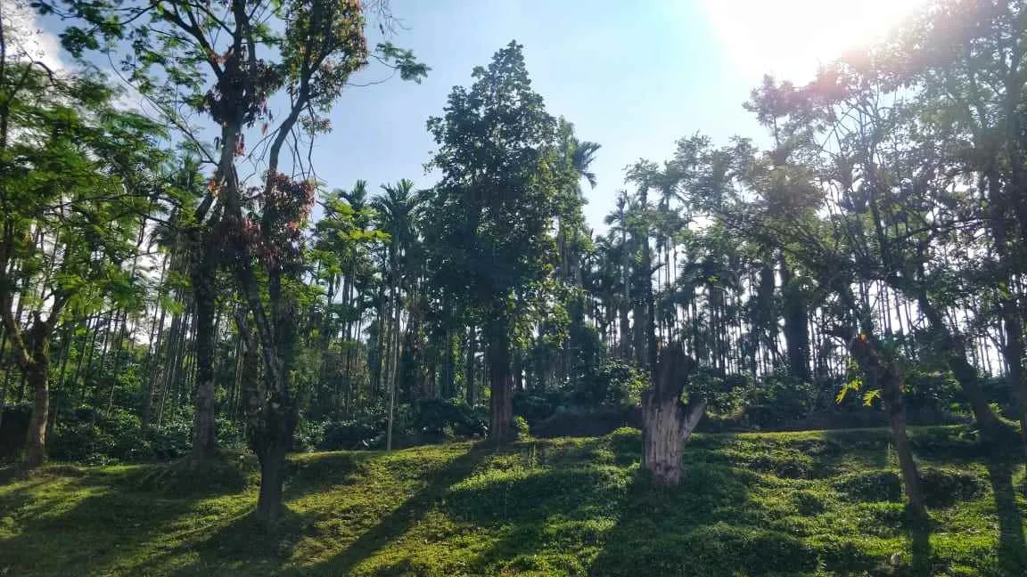 Property One Realty Property One Realty