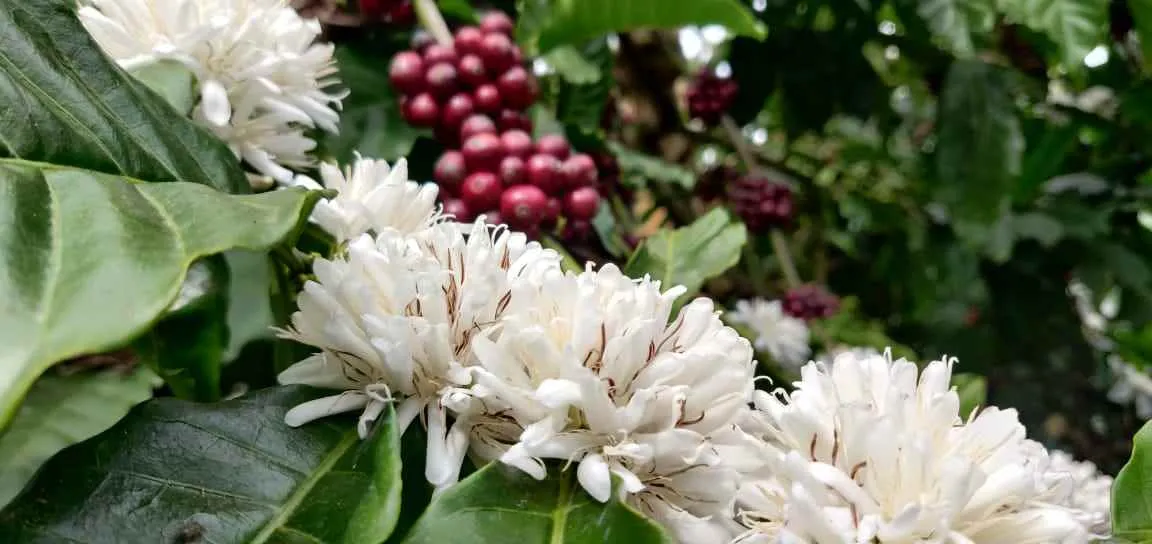 Property One Realty Property One Realty