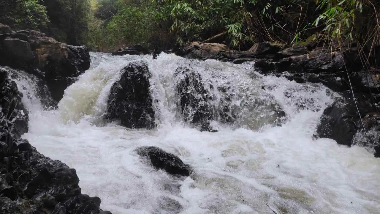 Property One Realty Property One Realty