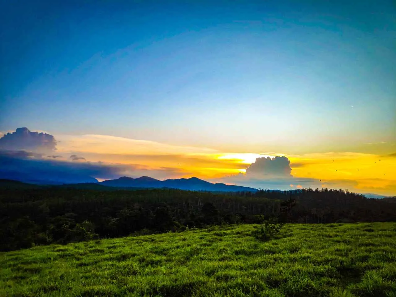 Property One Realty Property One Realty