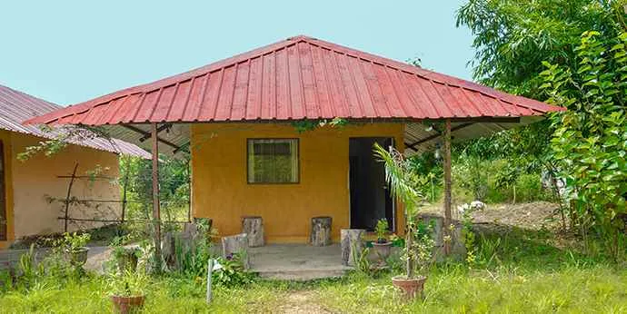 Nature's Sprout Nature's Sprout