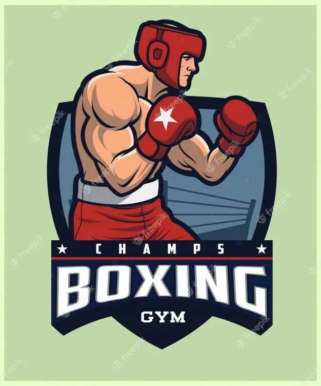 VR Combatives Academy 