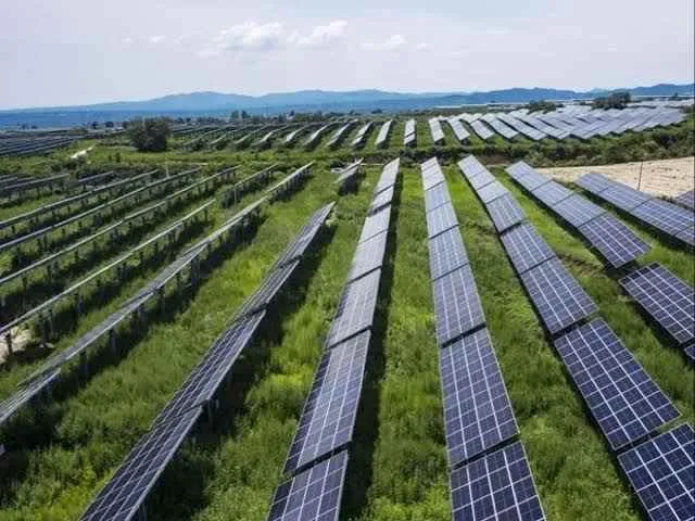 React Energy Private Limited