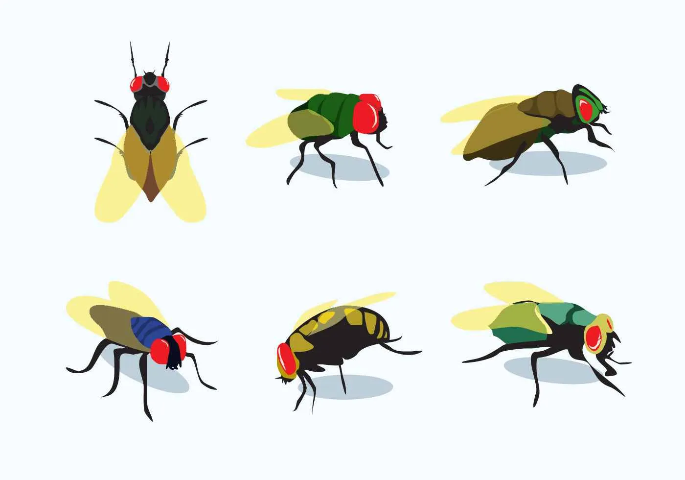 Span Shield Pest Control