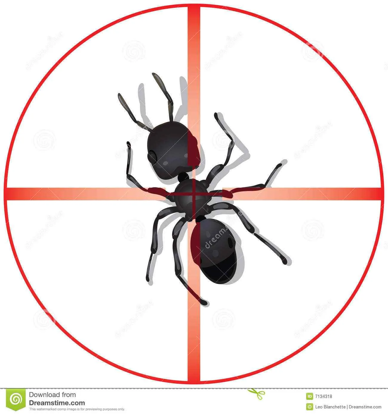 Span Shield Pest Control