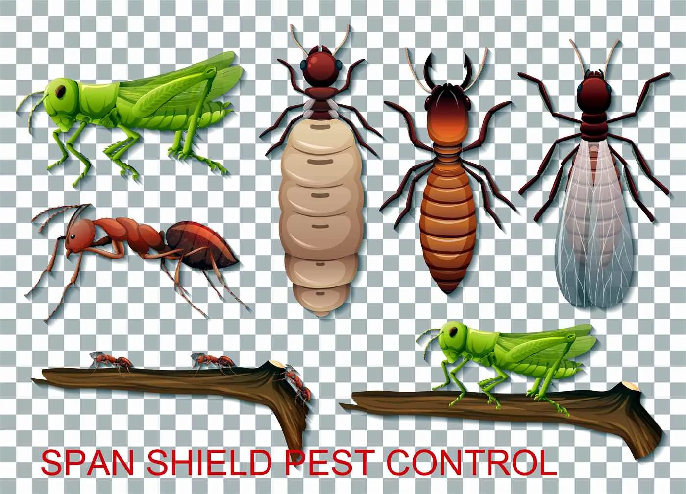 Span Shield Pest Control