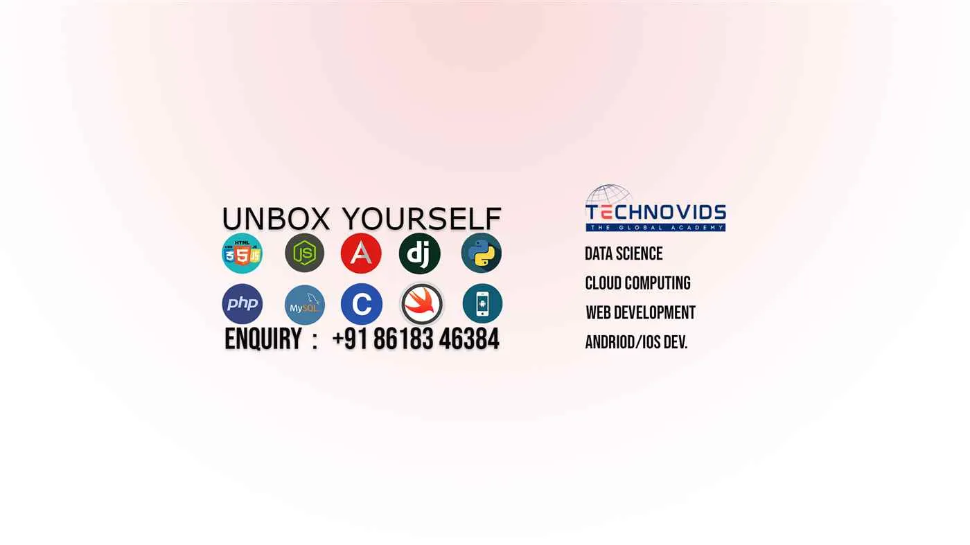 Technovids Consulting Service