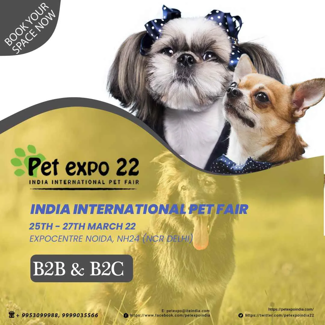 Petek India Petek India