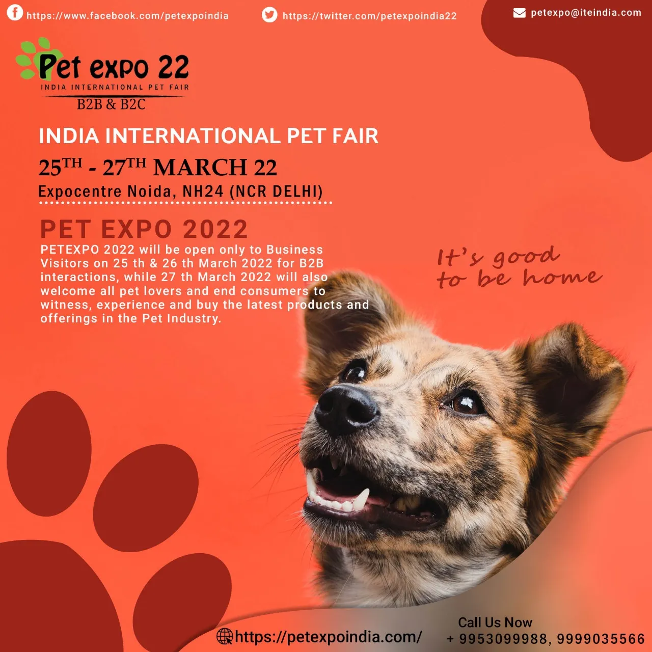 Petek India Petek India