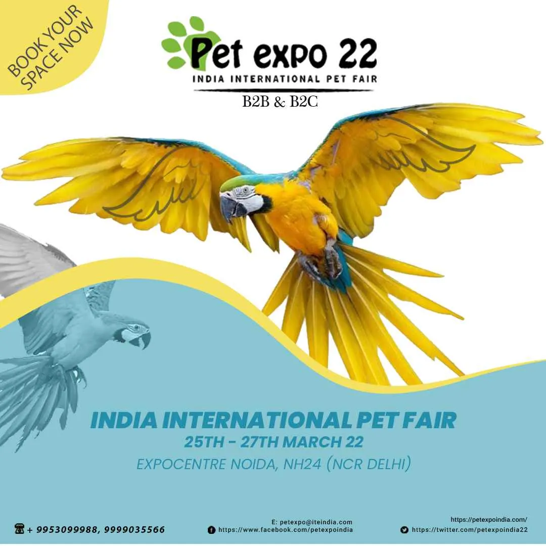 Petek India Petek India