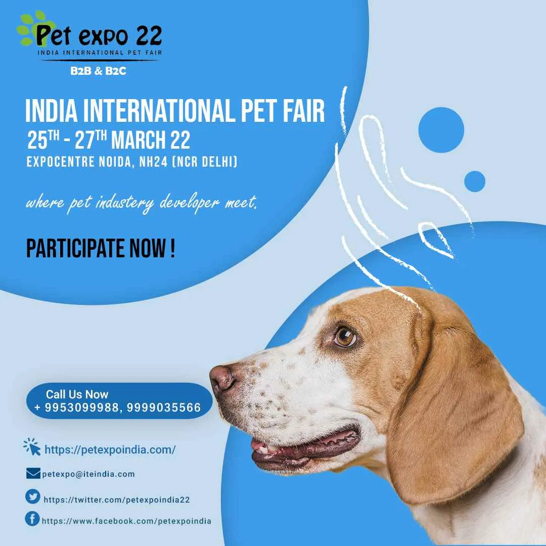 Petek India Petek India