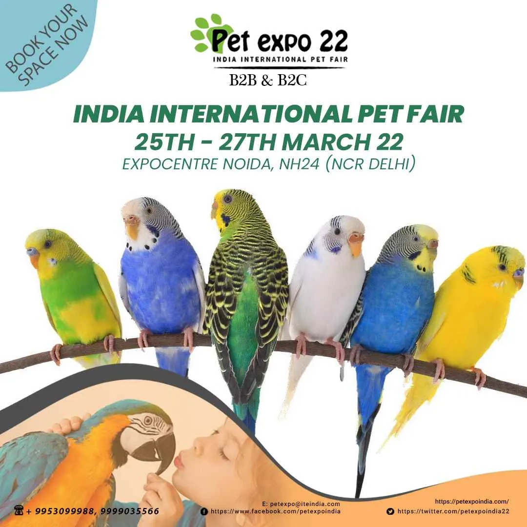 Petek India Petek India