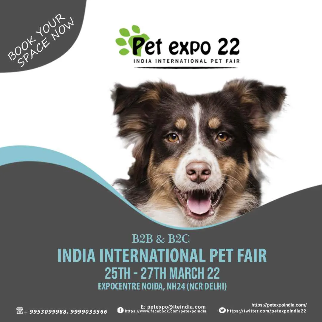 Petek India Petek India