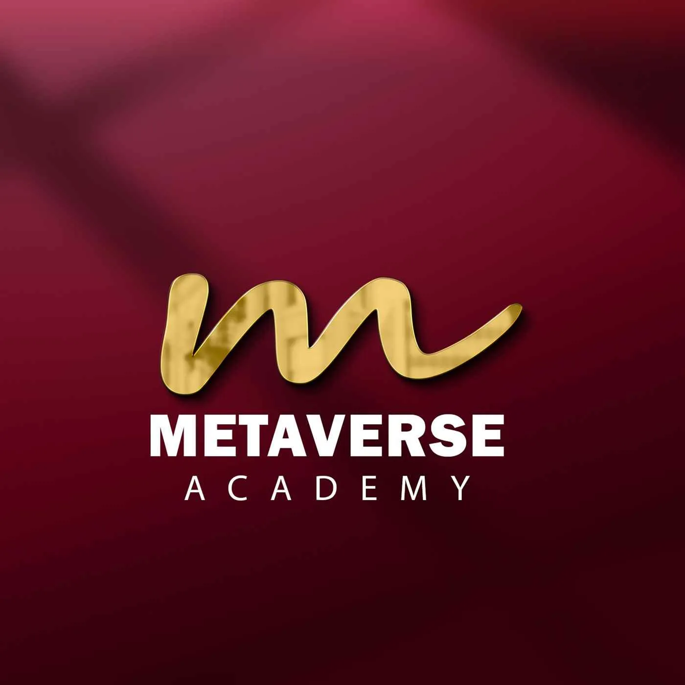 Metaverse Academy Metaverse Academy