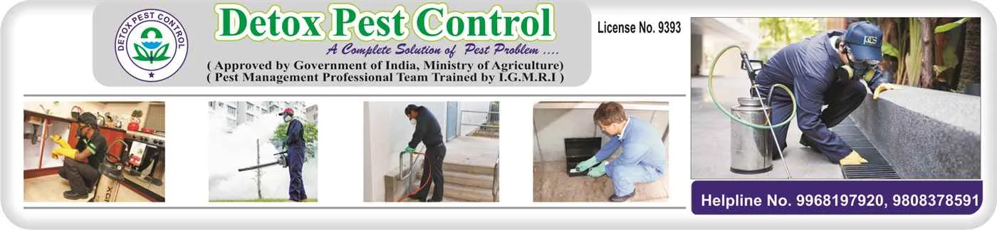 Detox Pest Control