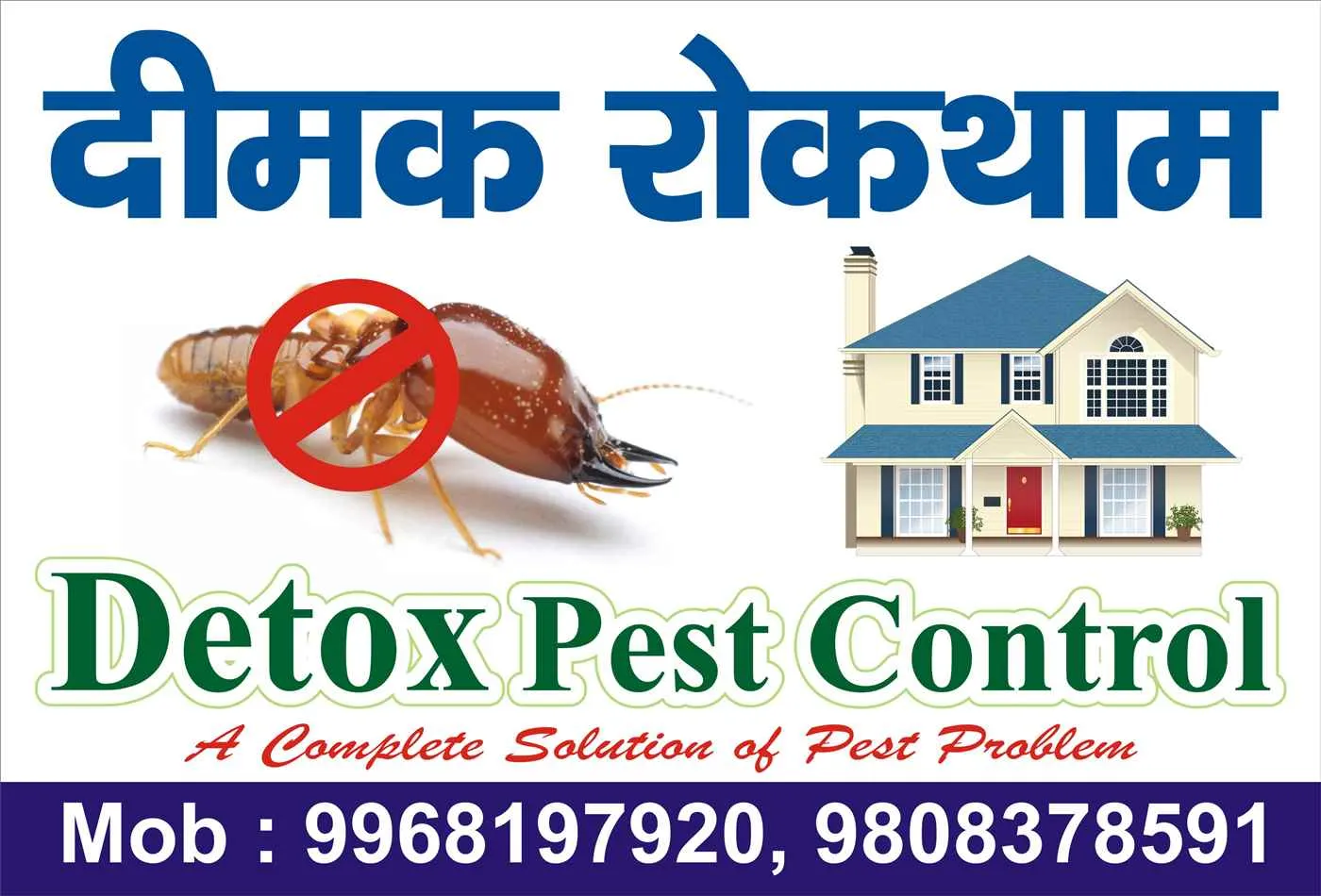 Detox Pest Control