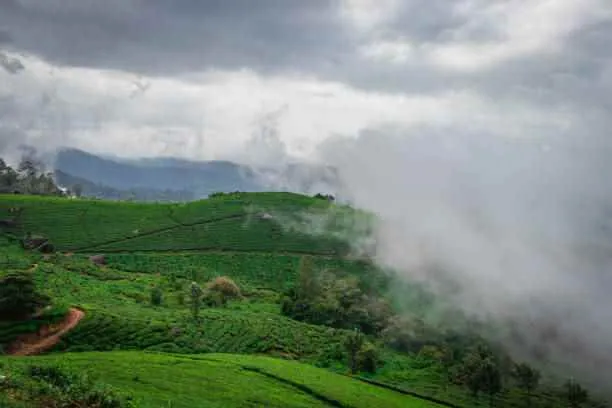 Munnar Munnar