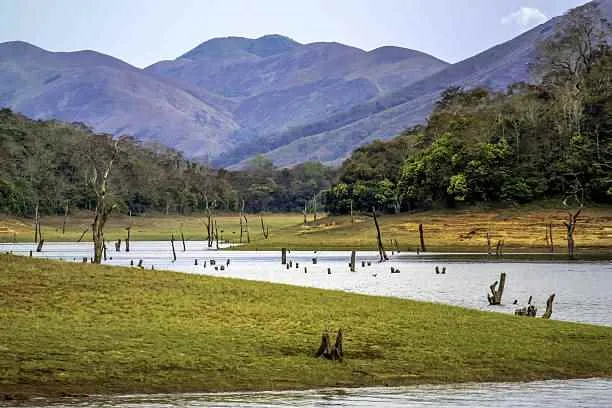 Theykkady Theykkady
