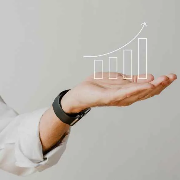 The Bold Marketers The Bold Marketers