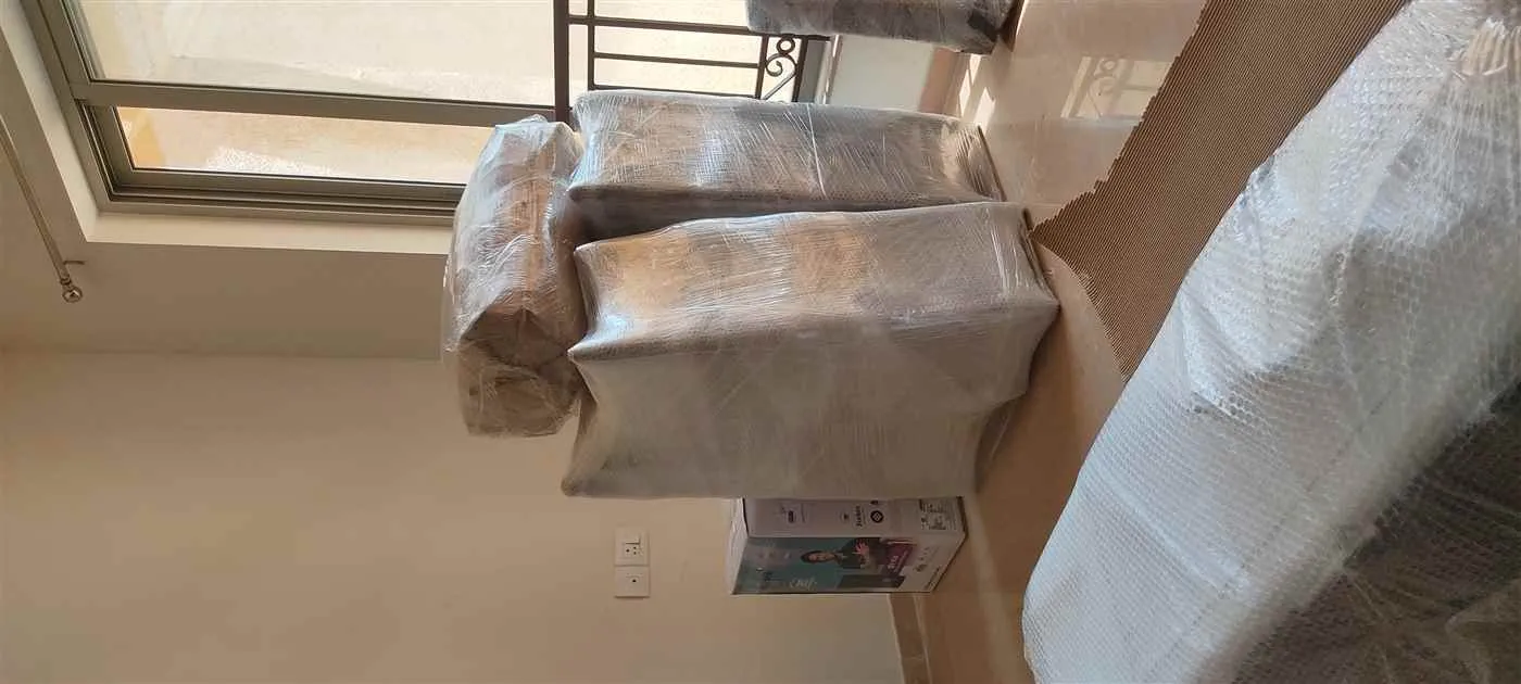 Apollo Relocation Packers and Movers 