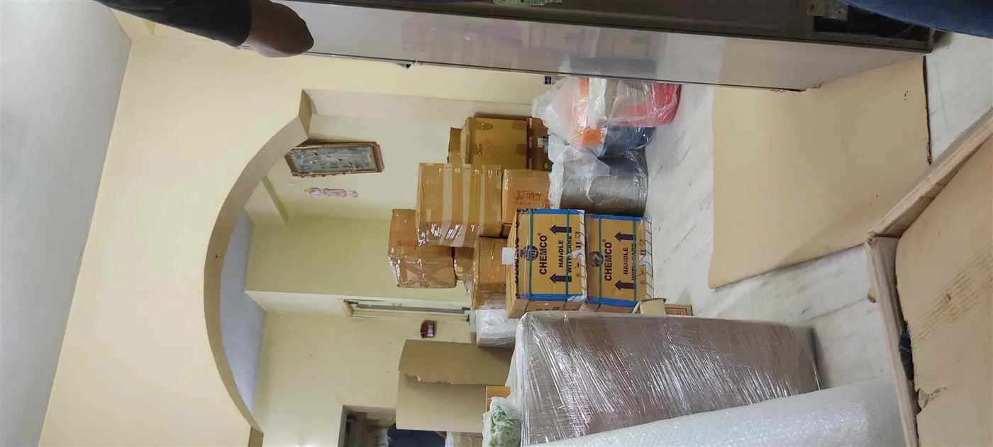 Apollo Relocation Packers and Movers 