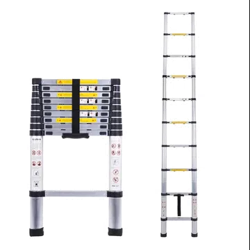 CorvidsIndia CorvidsIndia