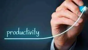 Quality Management Consultant