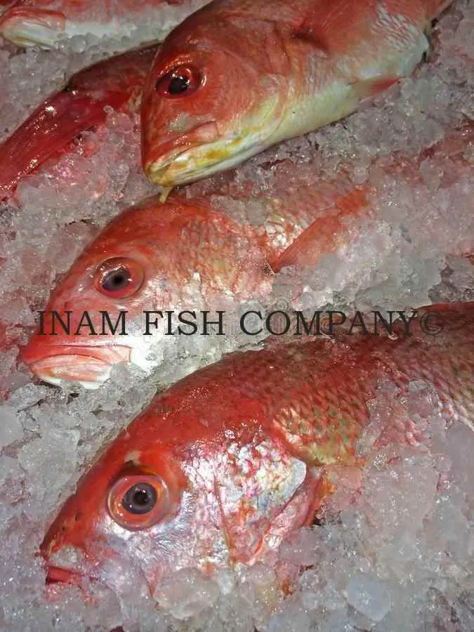 Inam Fish Co