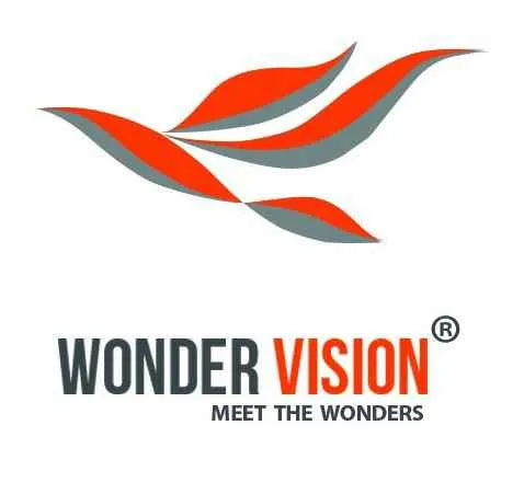 Wonder Vision Wonder Vision