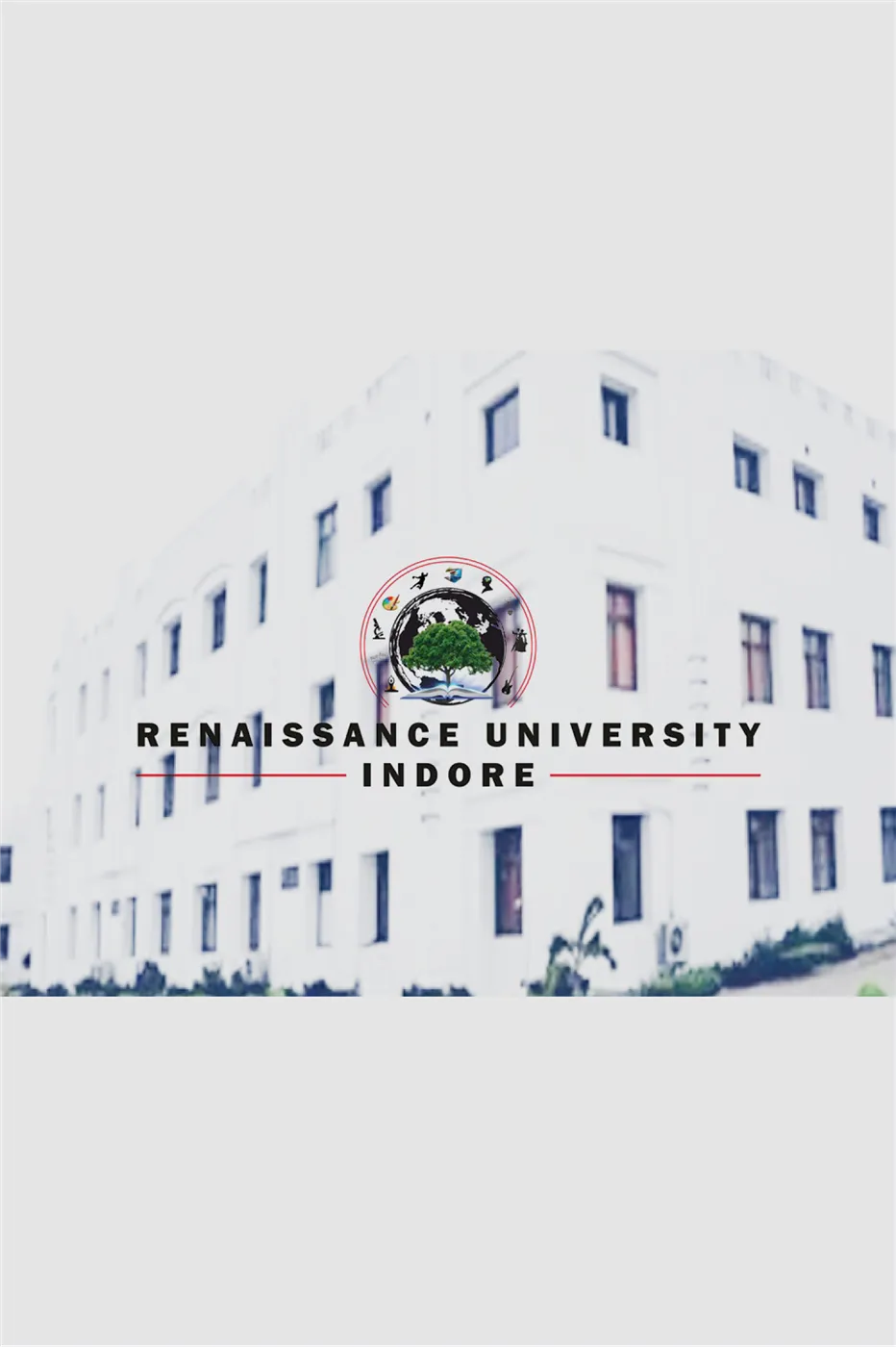 Renaissance University