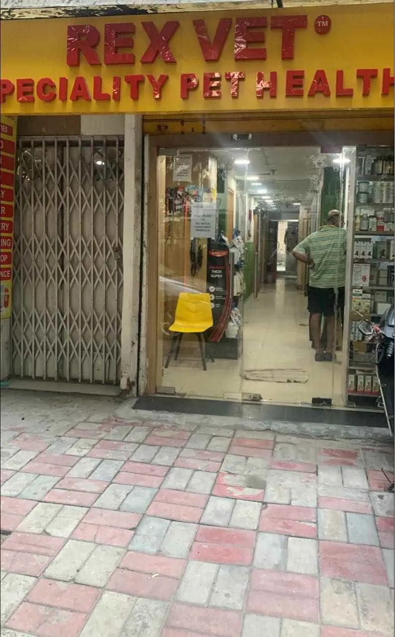 Rex Vet