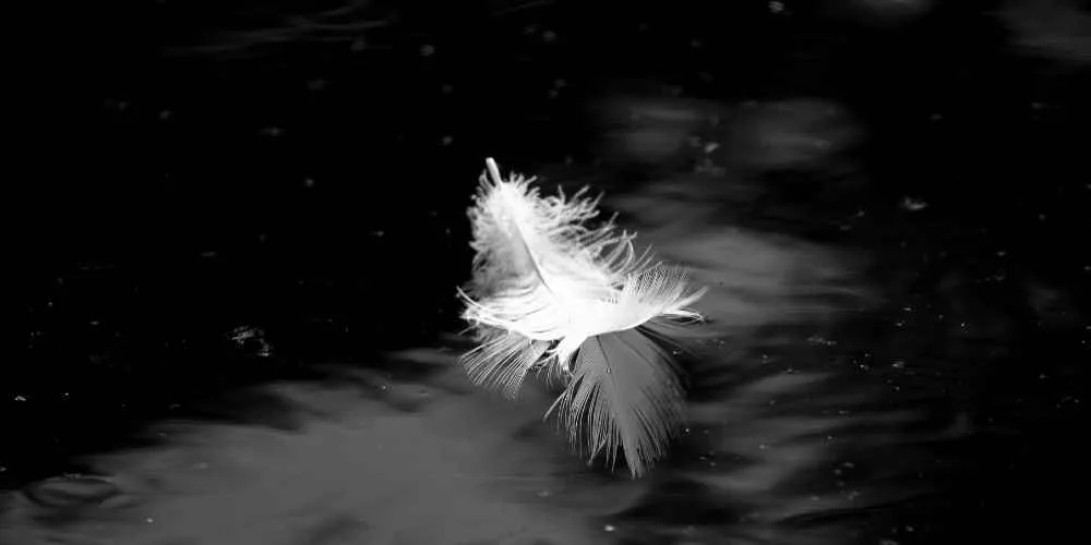 Make Me Pure Make Me Pure