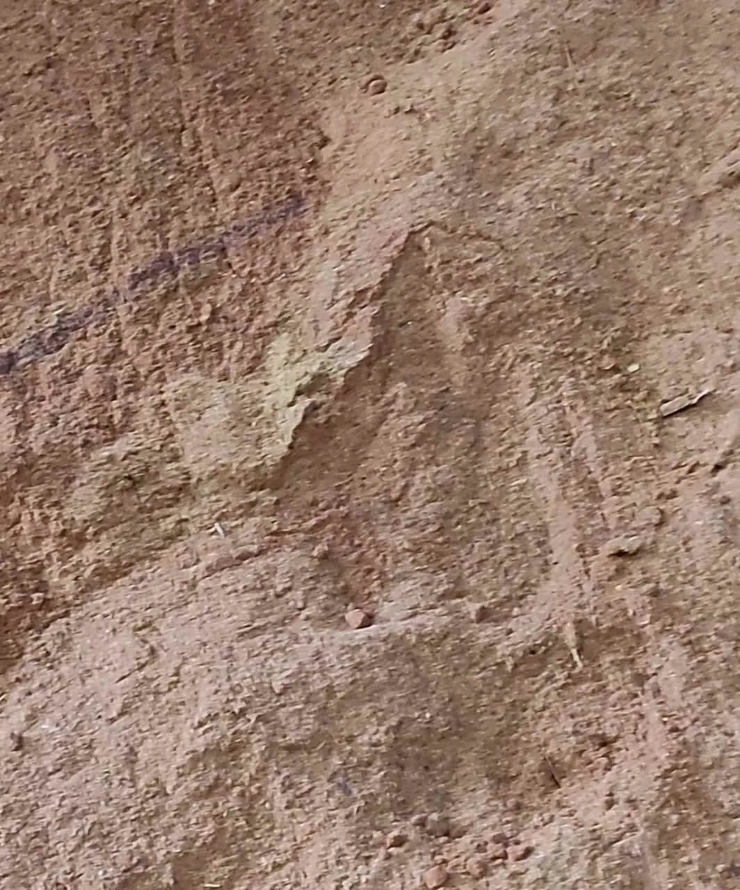 Sham Enterprises Sham Enterprises