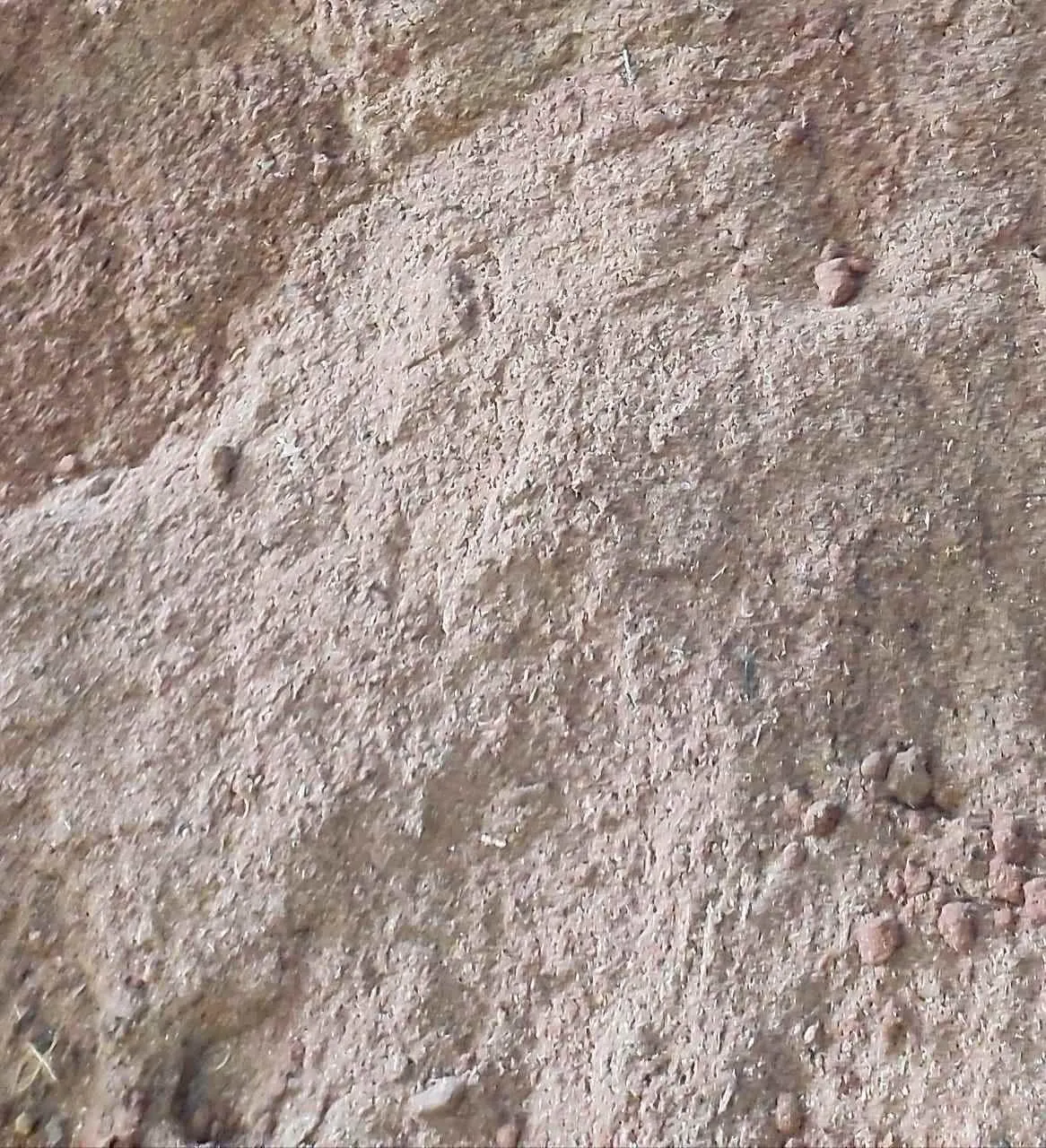 Sham Enterprises Sham Enterprises