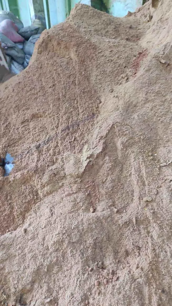 Sham Enterprises Sham Enterprises