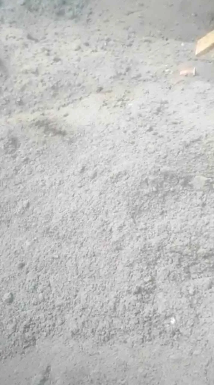 Sham Enterprises Sham Enterprises