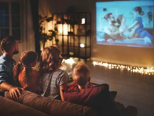 Pavilion Electronics 