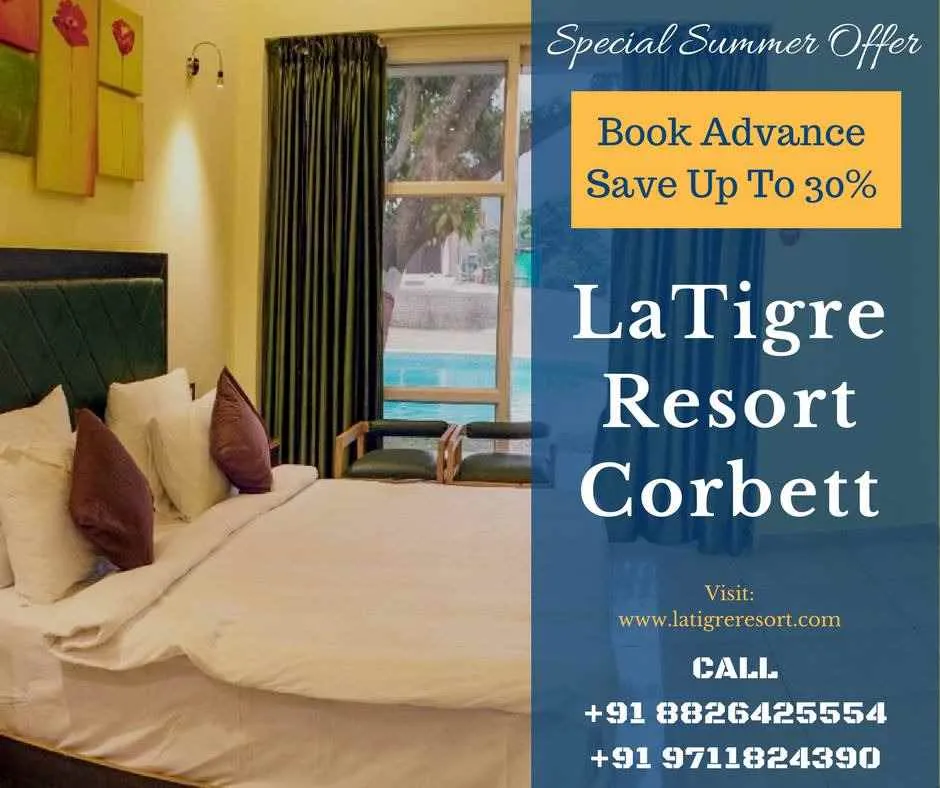 LaTigre Resort LaTigre Resort