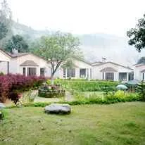 LaTigre Resort LaTigre Resort