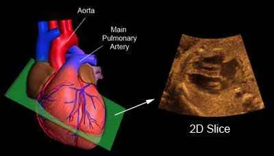 Shankardev Patho Lab