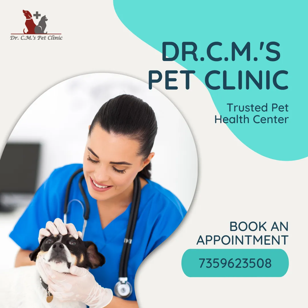 Dr. C.M's Pet Clinic Dr. C.M's Pet Clinic