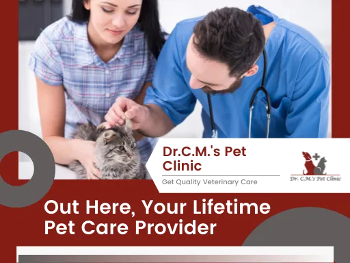 Dr. C.M's Pet Clinic Dr. C.M's Pet Clinic