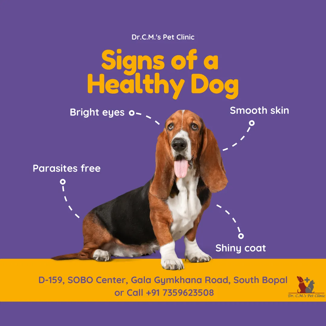 Dr. C.M's Pet Clinic Dr. C.M's Pet Clinic